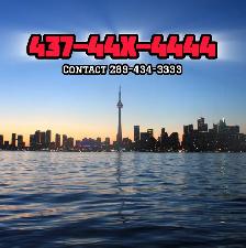 Toronto Premium Phone Numbers Prestige Vip Phone Numbers