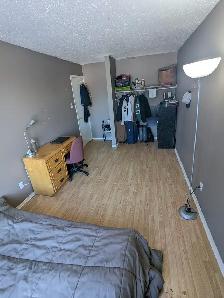 4 min to Algonquin. Woodroffe/Majestic, all inclusive. ASAP - Photo 4