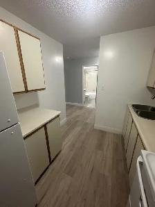 Two Bedroom available now in Minnow Lake area