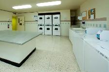 Niagara Fall's 3 Bedroom Apartment for Rent! Valley Way/Portage - Photo 14