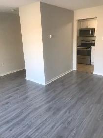 19 Mandaville - Two Bedroom Apartment for Rent - Photo 4