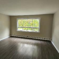 2 Bdrm Apt steps to Downtown Whitby - Photo 7