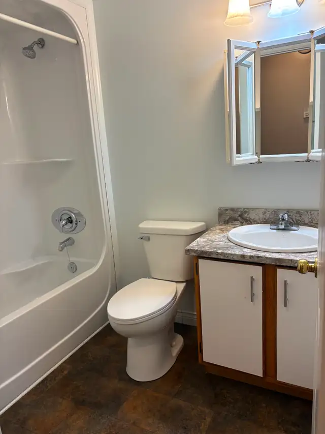 For rent a nice modern 2 bedroom basement apartment