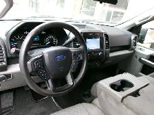 2019 Ford F-150 XLT LONG BED CERTIFIED | 8 FOOT BOX | BACKUP - Photo 8