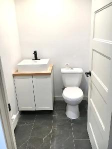 ESPACE COMMERCIAL DE 1,250 PI2 À LOUER – VIEUX SAINT-JEAN - Photo 6