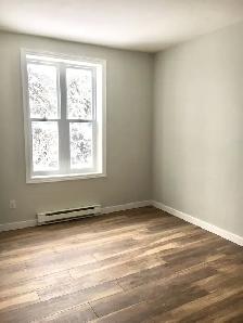 ESPACE COMMERCIAL DE 1,250 PI2 À LOUER – VIEUX SAINT-JEAN - Photo 7