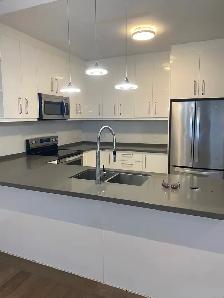 3 Bedroom End Unit Townhouse For Lease - Photo 9