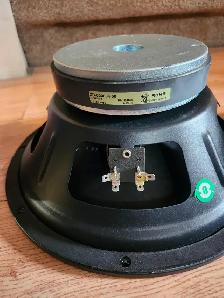 2-12 inch RCF speakers