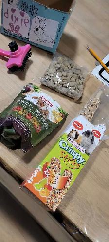 lapin domestique avec tout son kit à vendre - Photo 5
