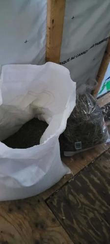 lapin domestique avec tout son kit à vendre - Photo 9