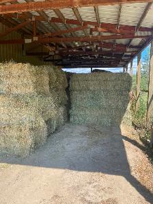 Hay for sale (Creston) - Photo 2
