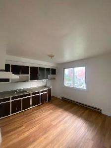 Beautiful 3½ Apartment for Rent – Near metro MONK - Photo 4