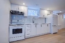 Lower Level Unit of 2-story detached house @ McNicoll & Don Mill - Photo 4
