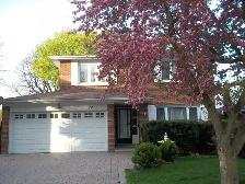 Lower Level Unit of 2-story detached house @ McNicoll & Don Mill - Photo 11