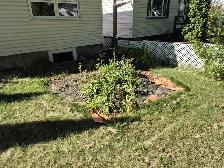 FREE dirt/soil