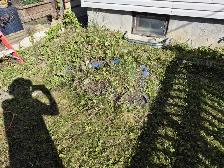 FREE dirt/soil - Photo 2