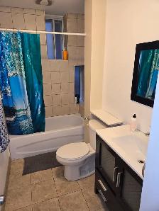 Room across the street from Metro Vendome. $725  All and internt - Photo 5