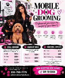 Mobile Dog Grooming – Cambridge, Kitchener & Waterloo - Photo 2