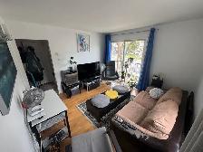 Beau logement avec cour arrière, Longueuil, 1/11/2026 - Photo 4