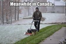 SNOW REMOVAL / SNOW CLEARING - Photo 3
