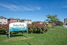 Town-House for Rent - Photo 8