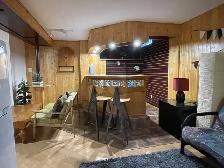 2-Bedroom Furnished Basement Apartment for Rent - Photo 2