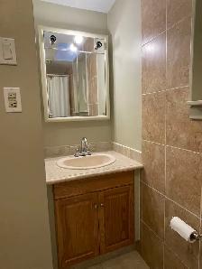2-Bedroom Furnished Basement Apartment for Rent - Photo 5