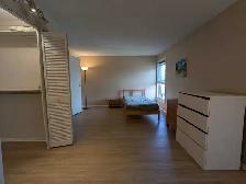 master bedroom with private washroom available - Photo 6