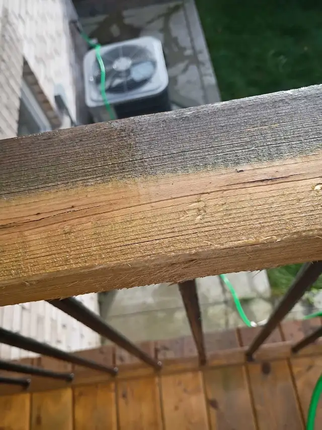 deep clean deck, fence and walkways stones