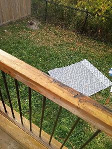 deep clean deck, fence and walkways stones - Photo 3