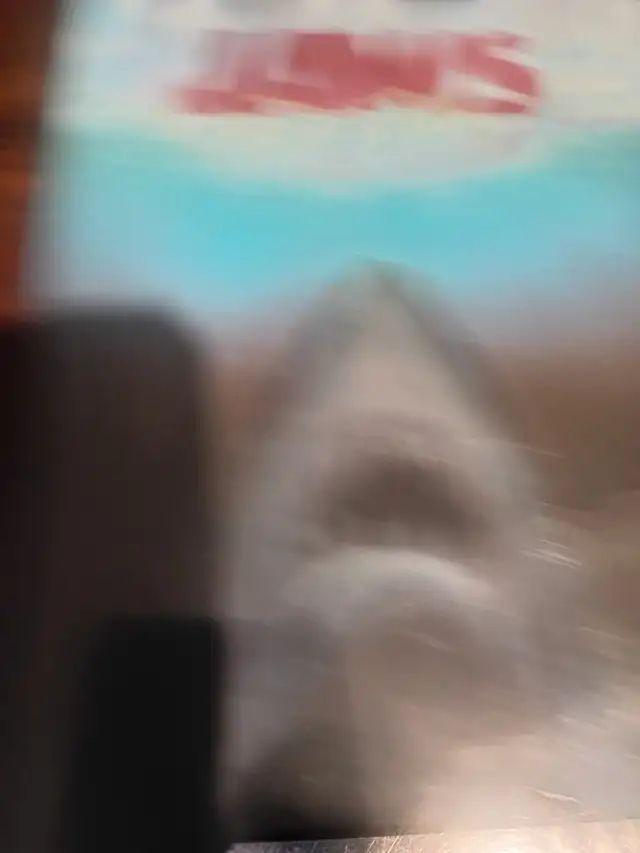 Jaws...