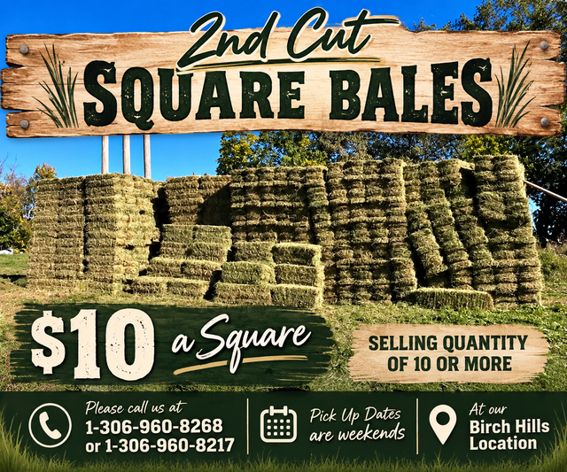 2nd Cut Alfalfa Squares