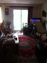 Executive Townhome For RENT Dec 1st Orleans - Photo 3