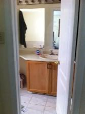 Executive Townhome For RENT Dec 1st Orleans - Photo 7