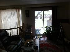 Executive Townhome For RENT Dec 1st Orleans - Photo 10