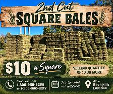2nd Cut Alfalfa Squares