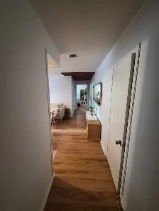 3 1/2 à louer Vieux-Longueuil - Photo 4