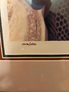 Ducks limited Rookie Print - Photo 2