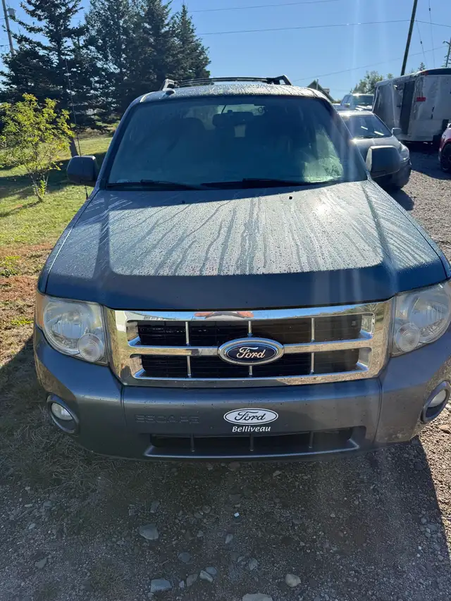 2011 Ford Escape