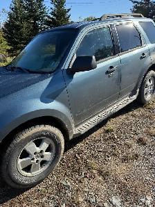 2011 Ford Escape - Photo 5
