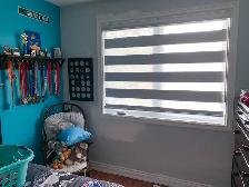 Zebra Blinds, Roller, Motorized, 50% OFF Call 416-4143443 - Photo 5
