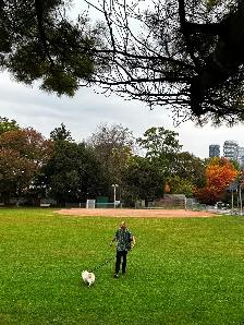 It is a Dog Meet Dog World ! - Photo 2