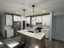 Cabinets Maker/ Installer