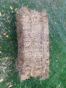 wheat straw bales - Stony Mountain area - Photo 3