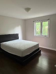 234 Robert Street Napanee - Photo 5