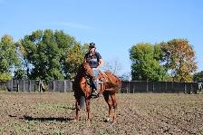 2024 AQHA sorrel gelding - Photo 2