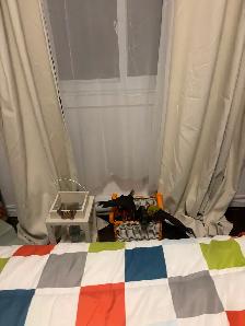 Lit  rustique avec presque tout ce qu’il y a dans la chambre . - Photo 5