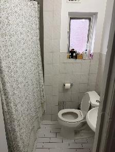 1-bedroom  Apartment on third Ave in Glebe avail. Nov.01 - Photo 7