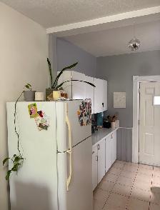 1-bedroom  Apartment on third Ave in Glebe avail. Nov.01 - Photo 8