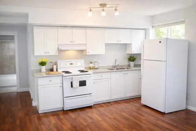 Two Bedroom legal basement in Saddlecrest NE